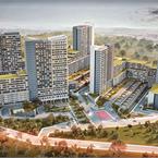 Natura Nova Life - 1