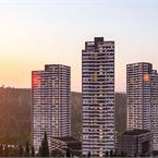 Akadia Vadi Oran - 7