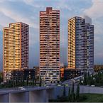 Akadia Vadi Oran - 9