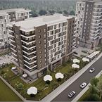 Bonita Öveçler - 1