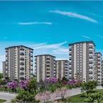 Serra Cadde & Bulvar - 2