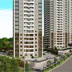 Primera Alacaatlı - 10