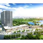 Kaşmir Mavi Orkide - 5