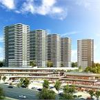 Kaşmir Mavi Orkide - 3