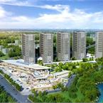 Kaşmir Mavi Orkide - 1